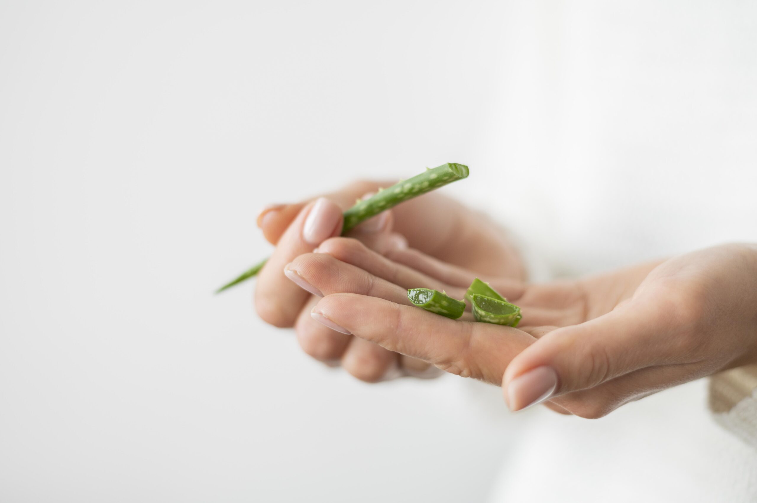 Aloe vera: benefits, dosage and precautions