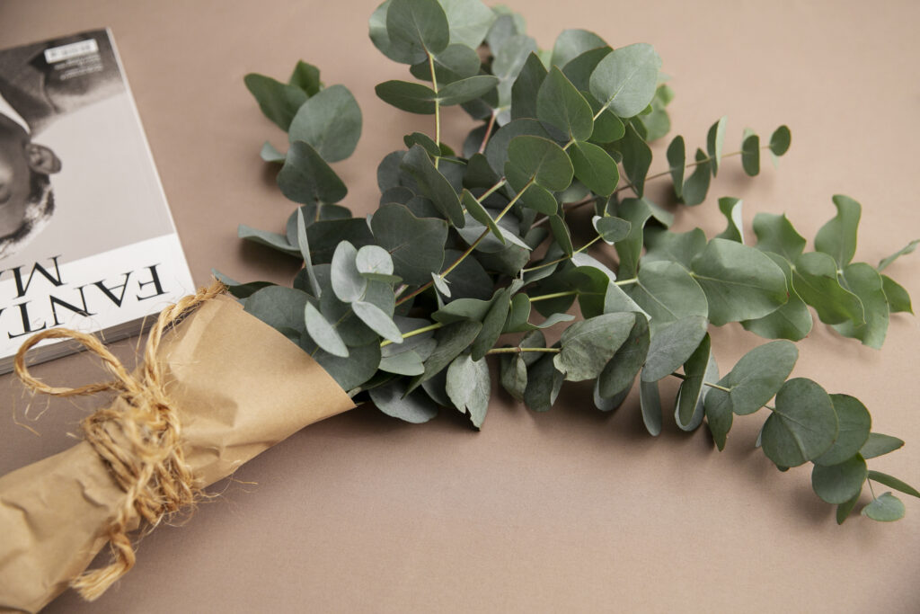 Eucalyptus leaves on a dark slate background