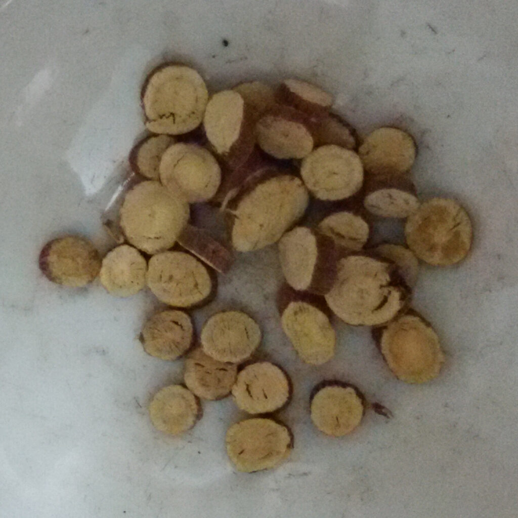 Cut licorice roots, the part used in herbal medicine