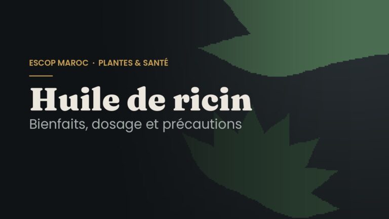 Huile de ricin : bienfaits, dosage et précautions